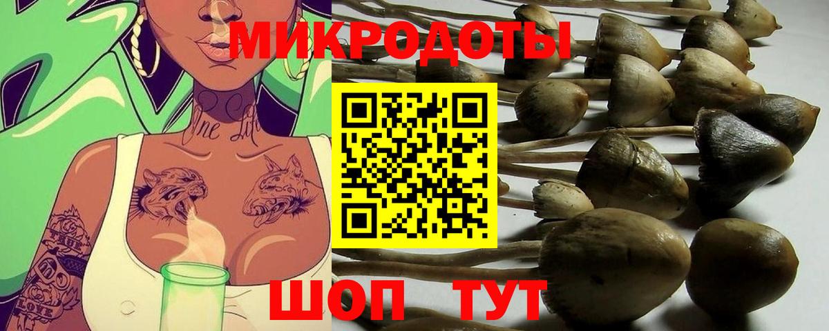 Чапаевск  купить закладку  Псилоцибиновые грибы MAGIC MUSHROOMS  Вход с VPN  Галлюциногенные грибы MAGIC MUSHROOMS 