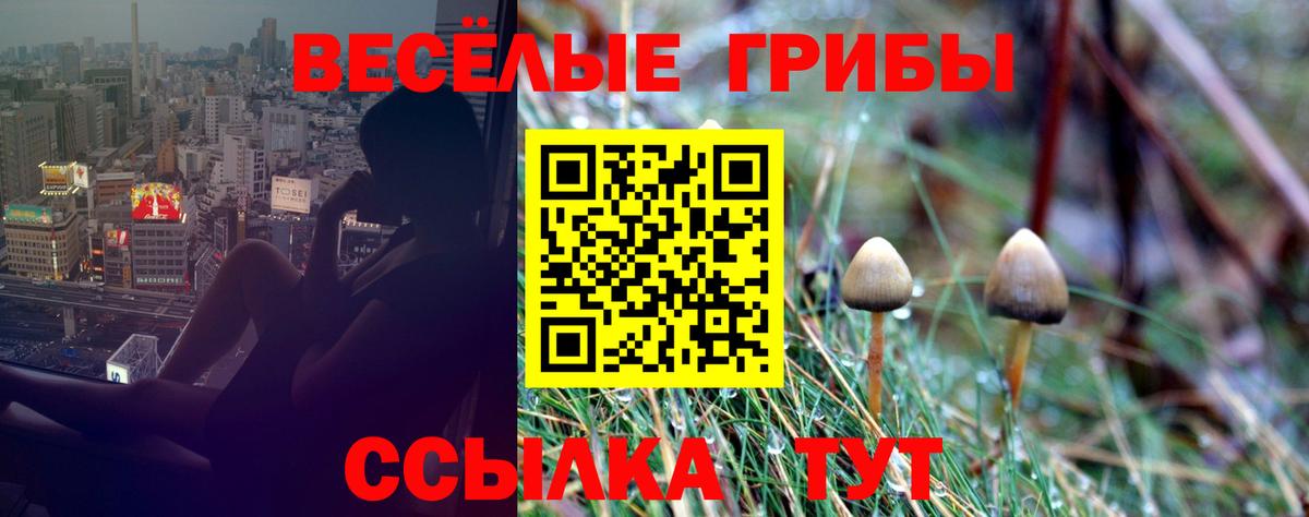 Галлюциногенные грибы Magic Shrooms Чапаевск